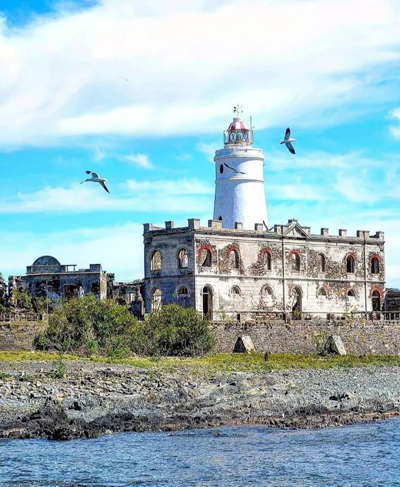 337165525_878246583251075_1792176860324327183_n