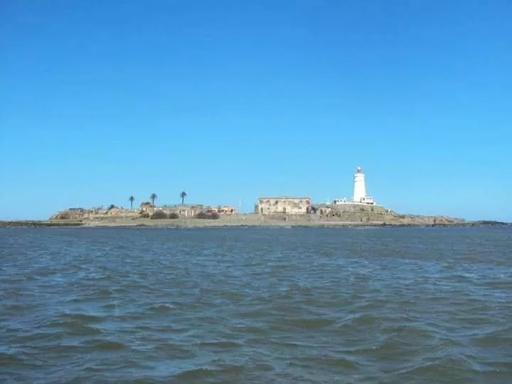 337274351_533331555656974_3856006895109944069_n