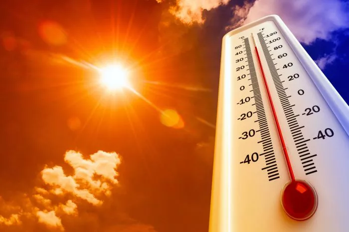 olas de calor