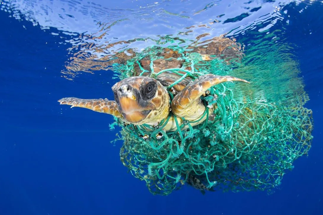 plastico en el mar