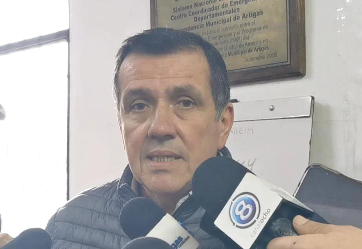 adolfo cuello copia