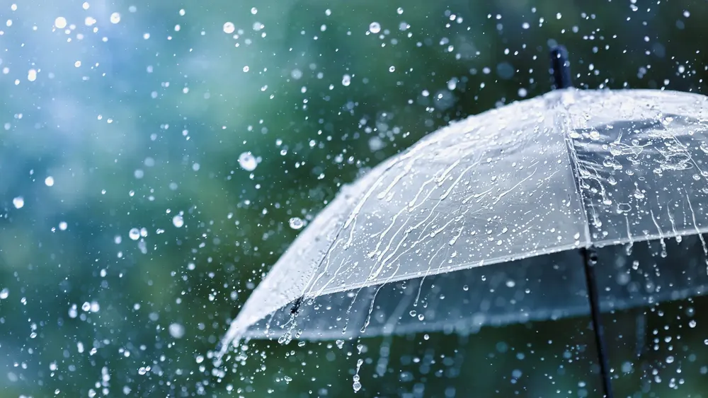 paraguas-lluvia_98