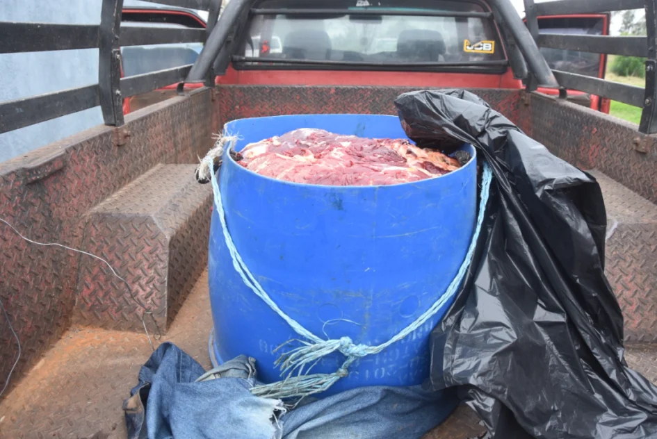 Una tarrina azul con carne, cubierta parcialmente con una bolsa negra