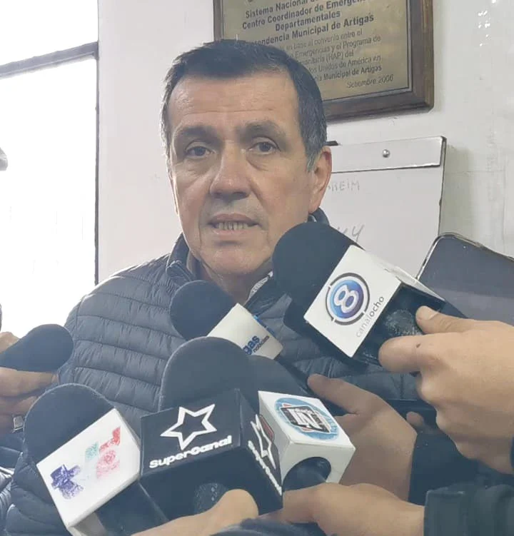 adolfo cuello copia
