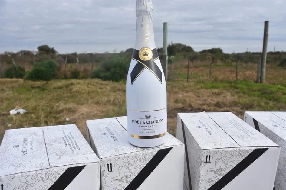champagne