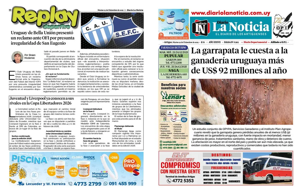 DIARIO de 12 PAGINAS TODOS LOS DIAS. ESTE