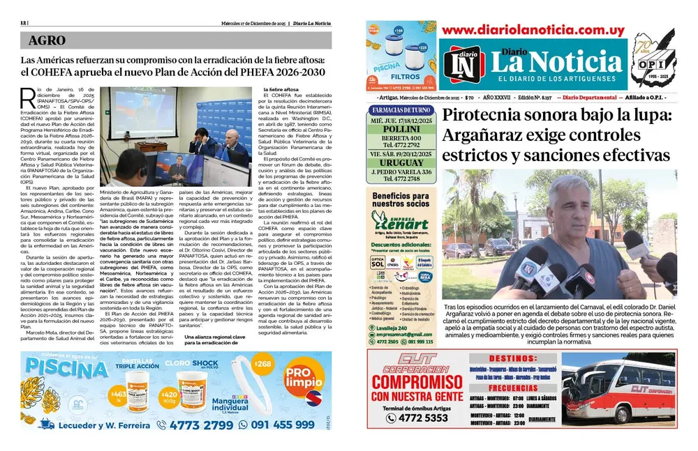 DIARIO de 12 PAGINAS TODOS LOS DIAS 17