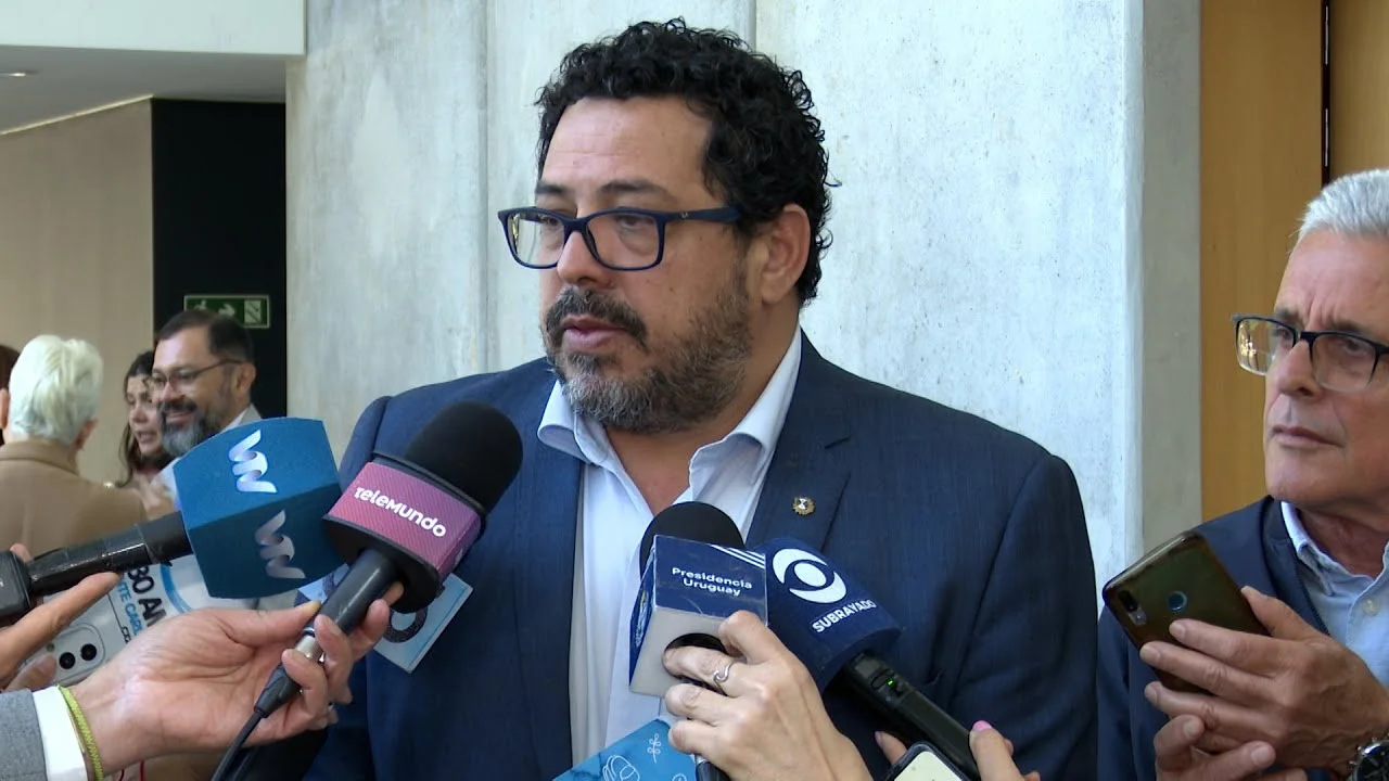 pacha para contratapa martes