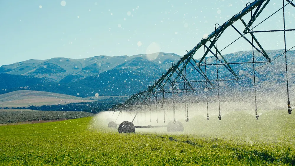 Agricultura del futuro (2)