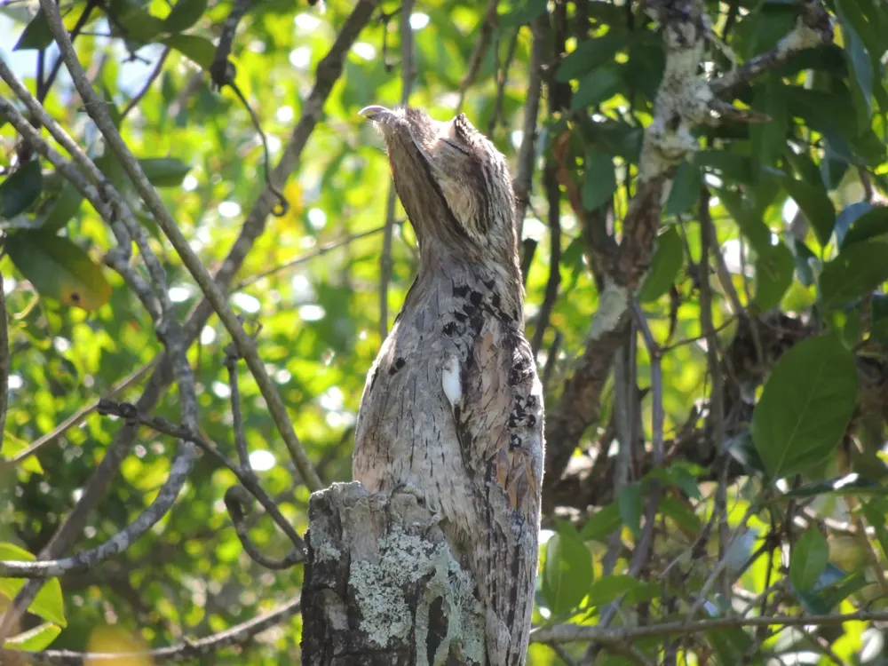 WhatsApp Image 2025-11-21 at 11.00.26