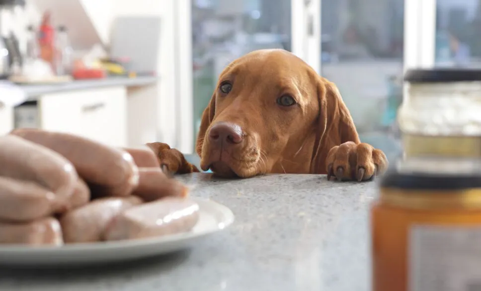 tvazteca.brightspotcdn