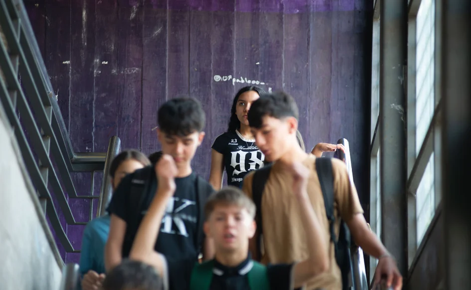 educación 4