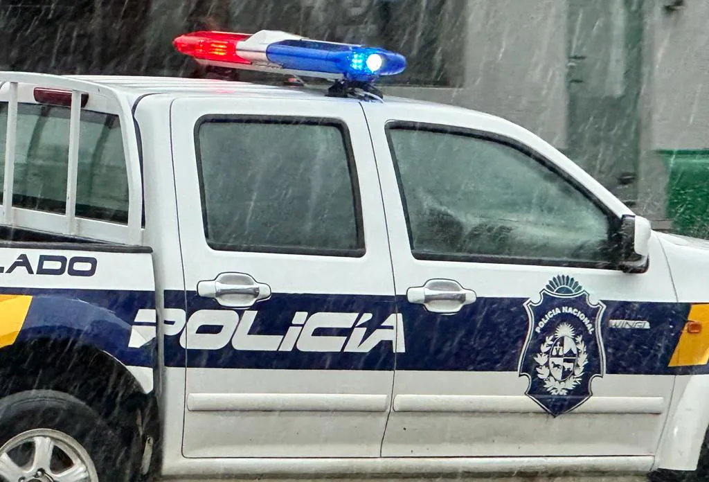 movil policial1
